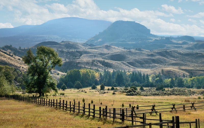 0000038715-001 0000038715-001